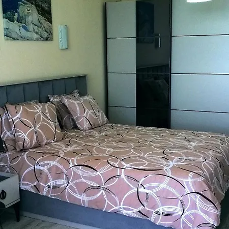 богданов * Obzor